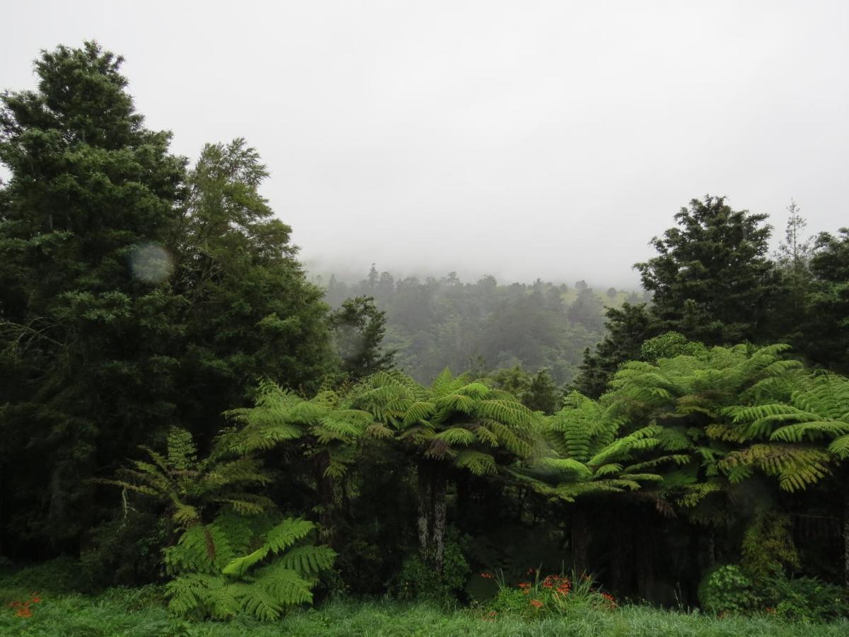 Crown Ridge Miners Cottage Karangahake Экстерьер фото